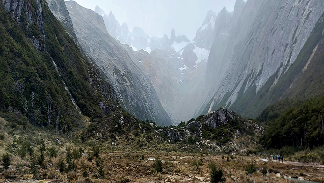 Large Image