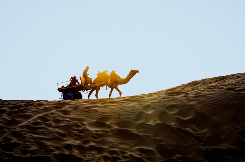 Golden Desert Safari