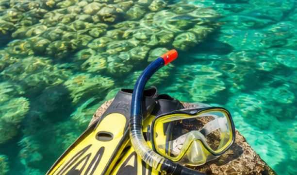 Phuket Island Explorer snorkeling reef detail